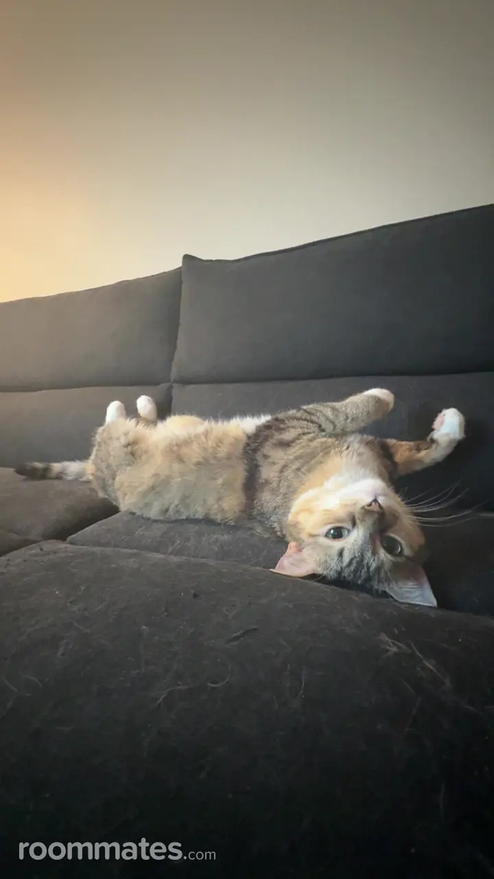 Profile photo 3 of 5