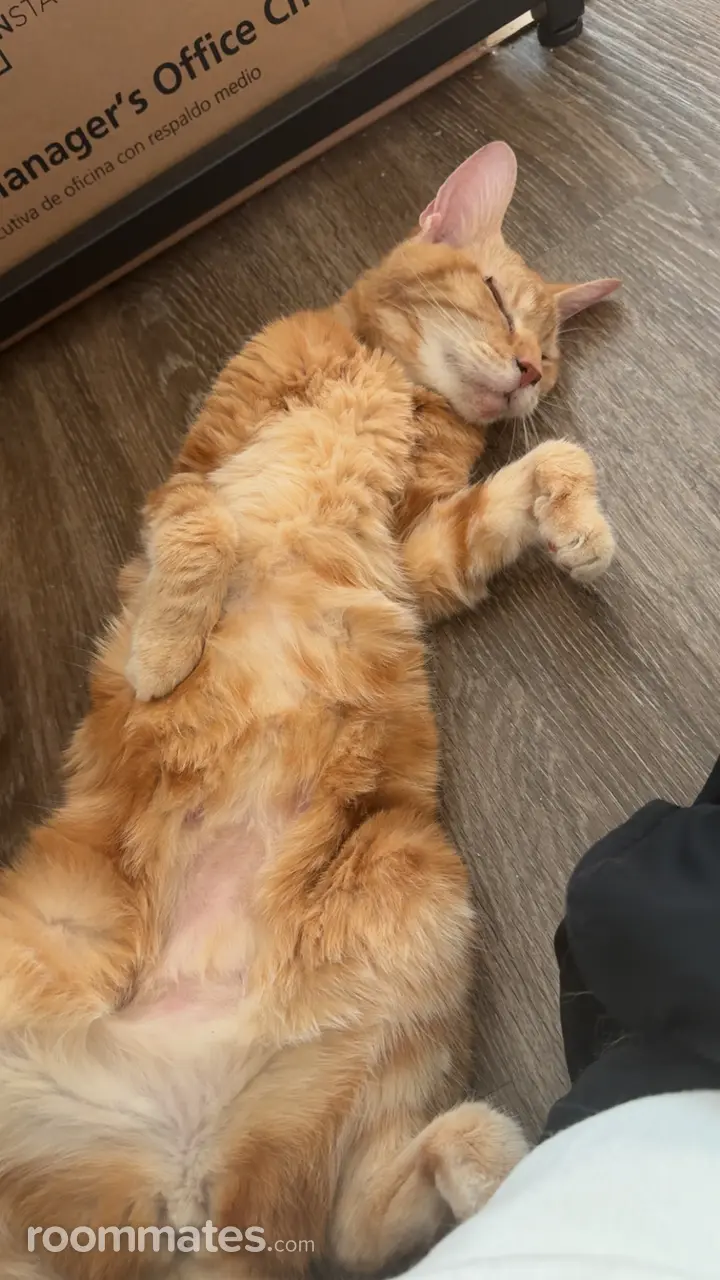 Profile photo 4 of 5