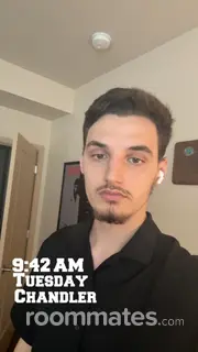 Roommate looking Pittsburgh, PA, $1100