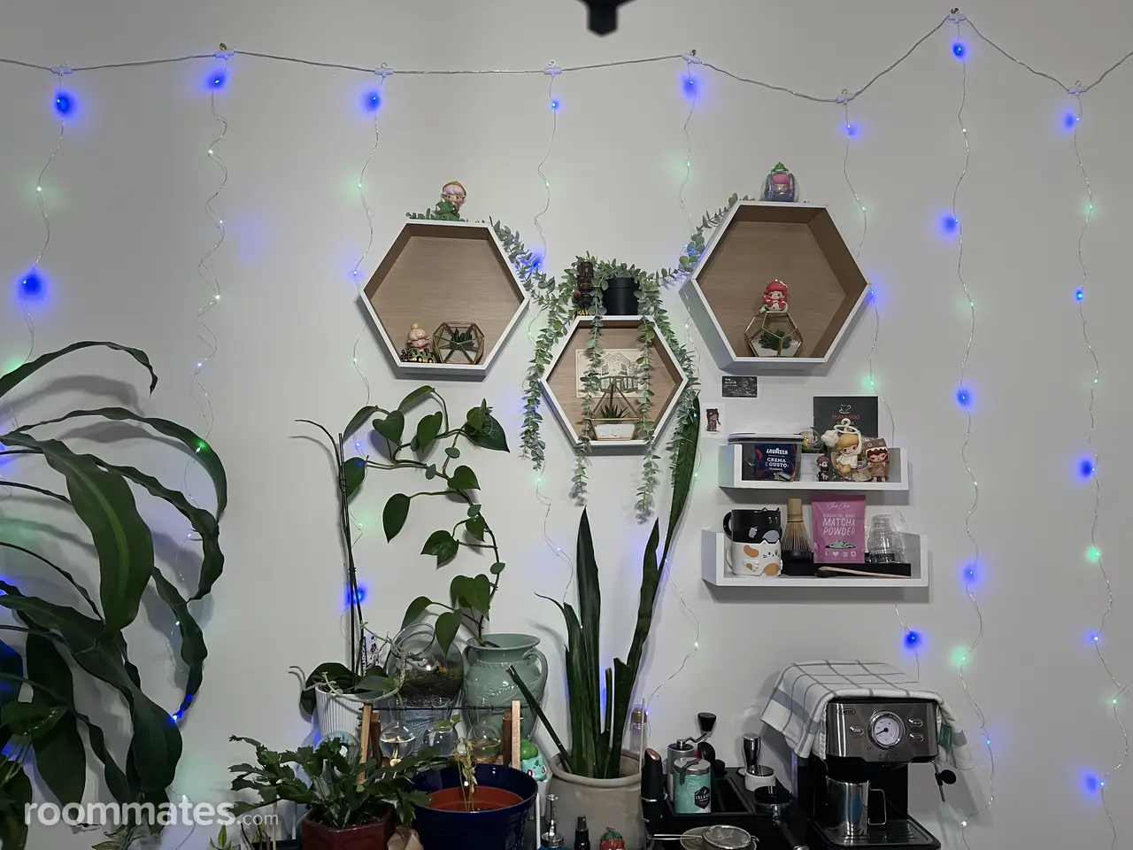 Profile photo 6 of 19