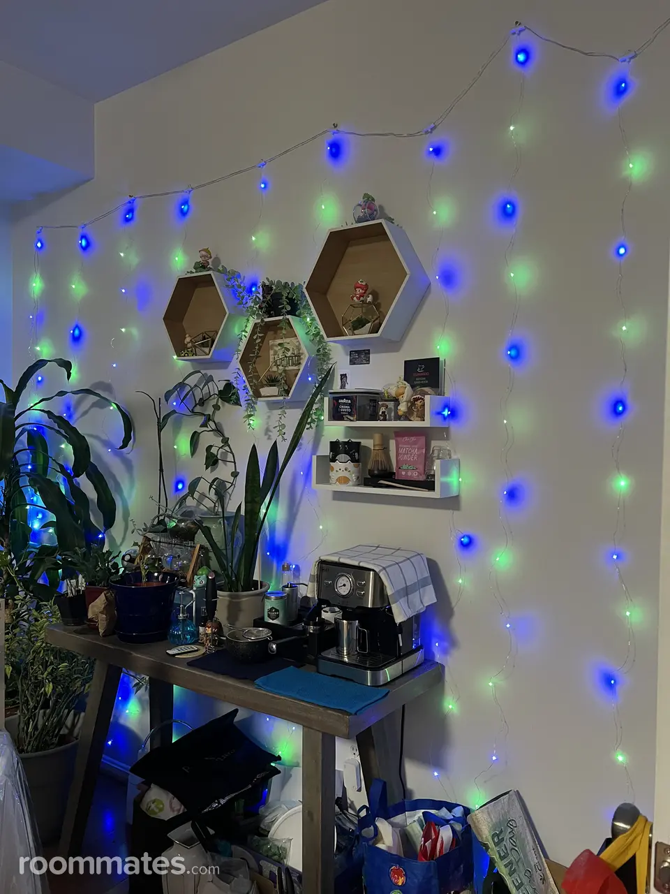 Profile photo 3 of 19