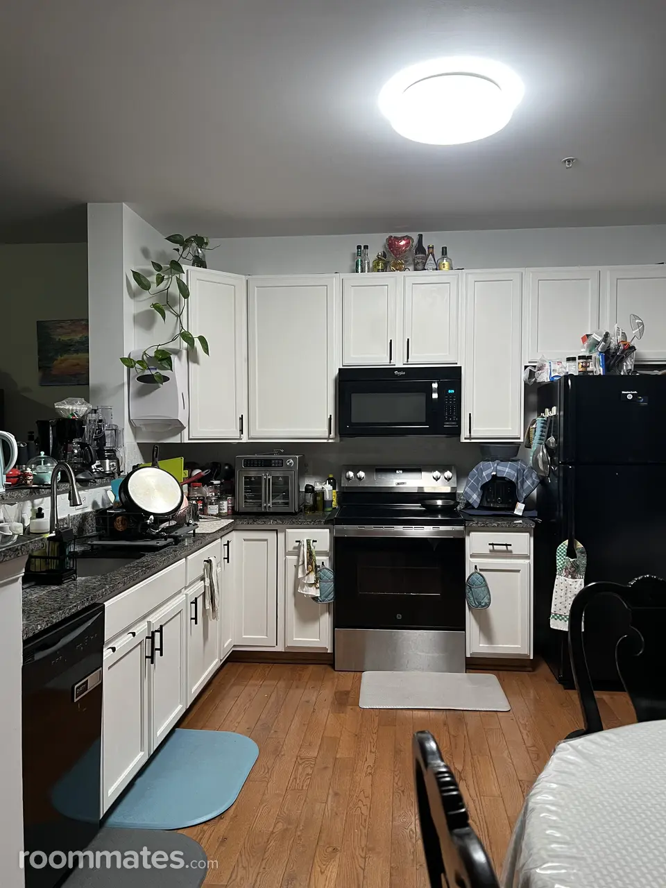 Profile photo 7 of 19