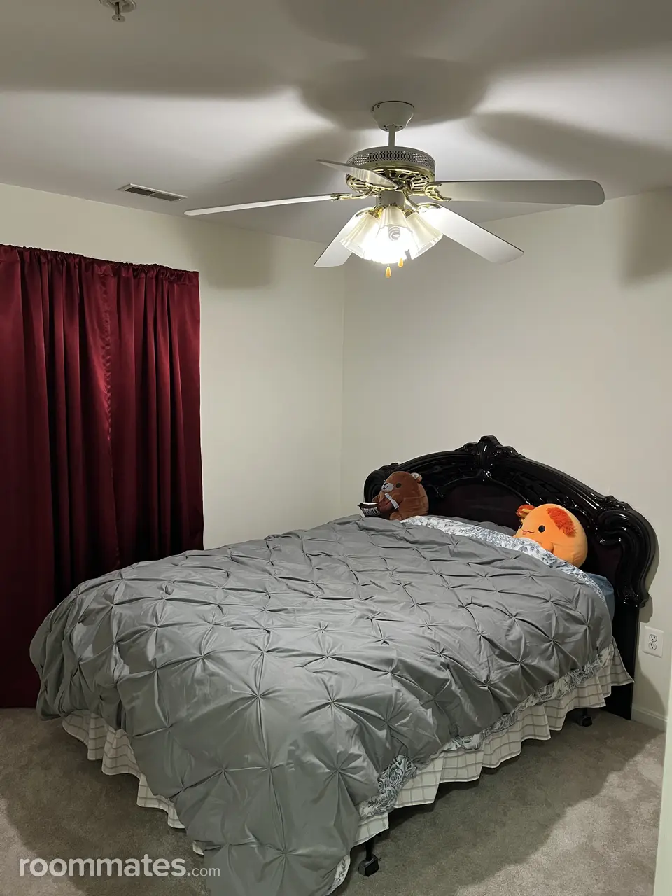 Profile photo 5 of 19