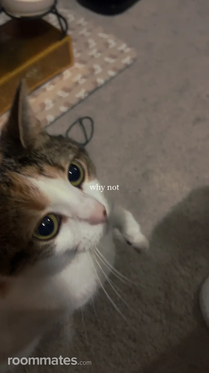 Profile photo 9 of 19