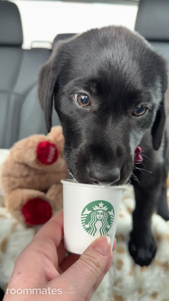 Profile photo 4 of 6