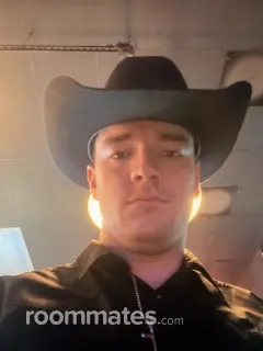 Roommate looking Lacey, WA, $800