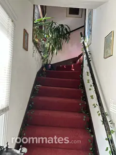 Room for rent in Hyde Park, MA $1000, house