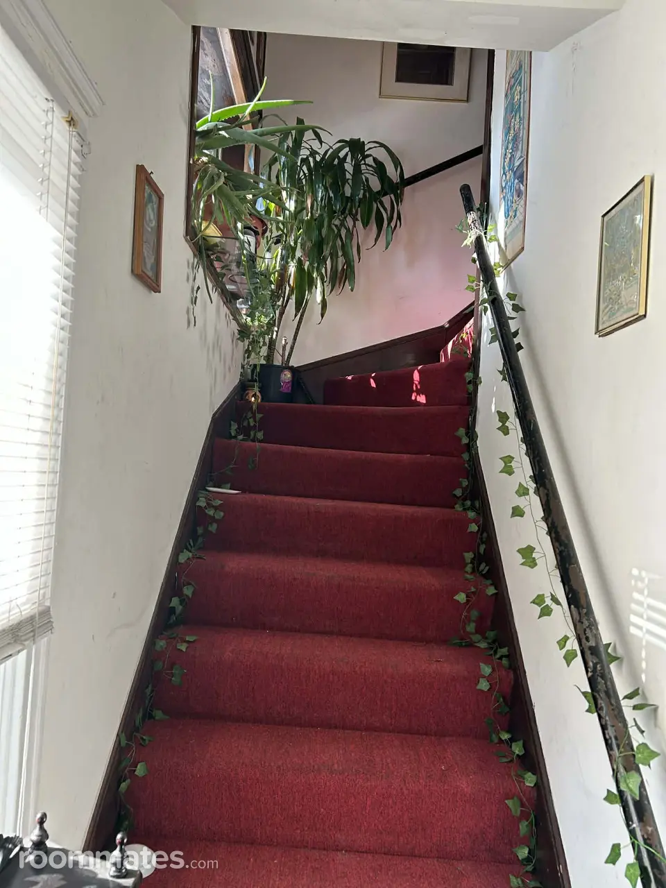 Profile photo 9 of 11