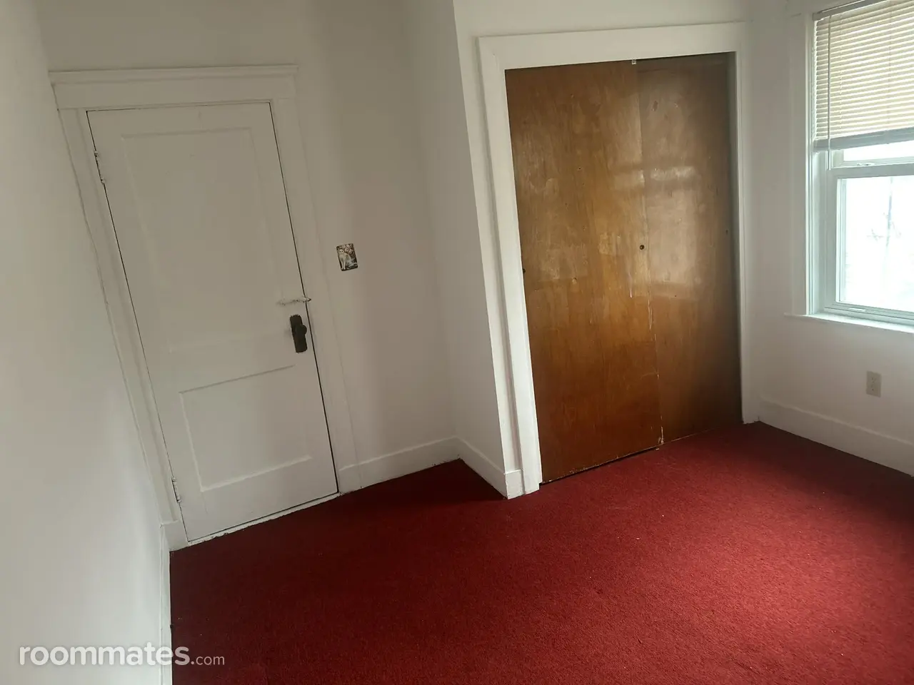 Profile photo 3 of 11