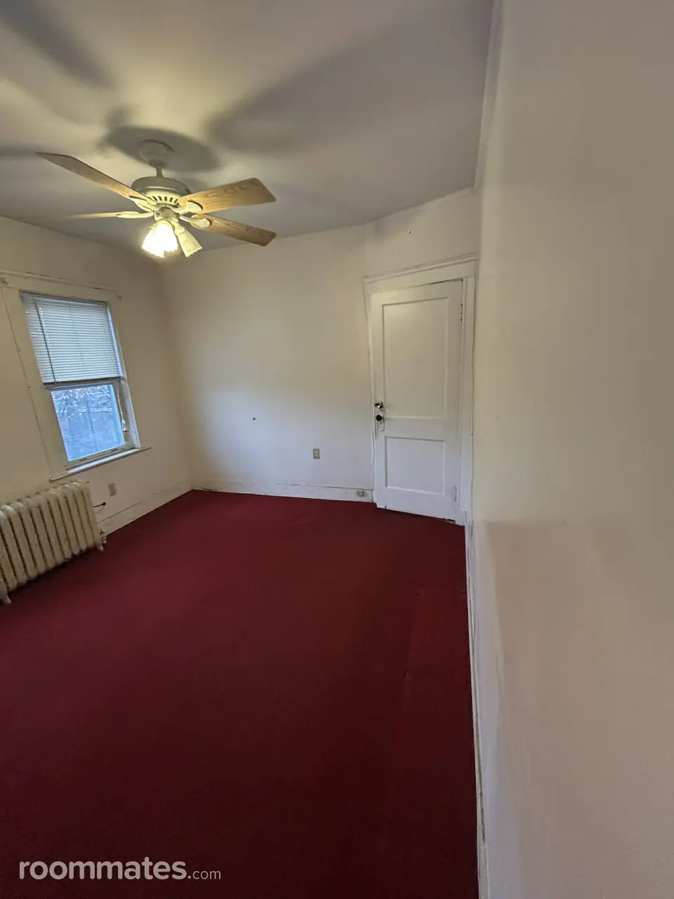 Profile photo 2 of 11