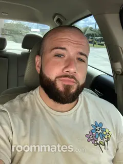 Roommate looking Lutz, FL, $500