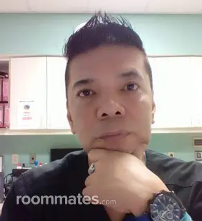 Roommate looking Asheville, NC, $1000