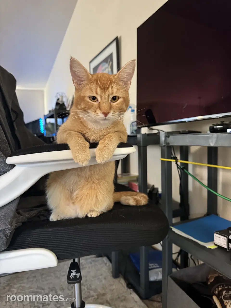 Profile photo 2 of 2