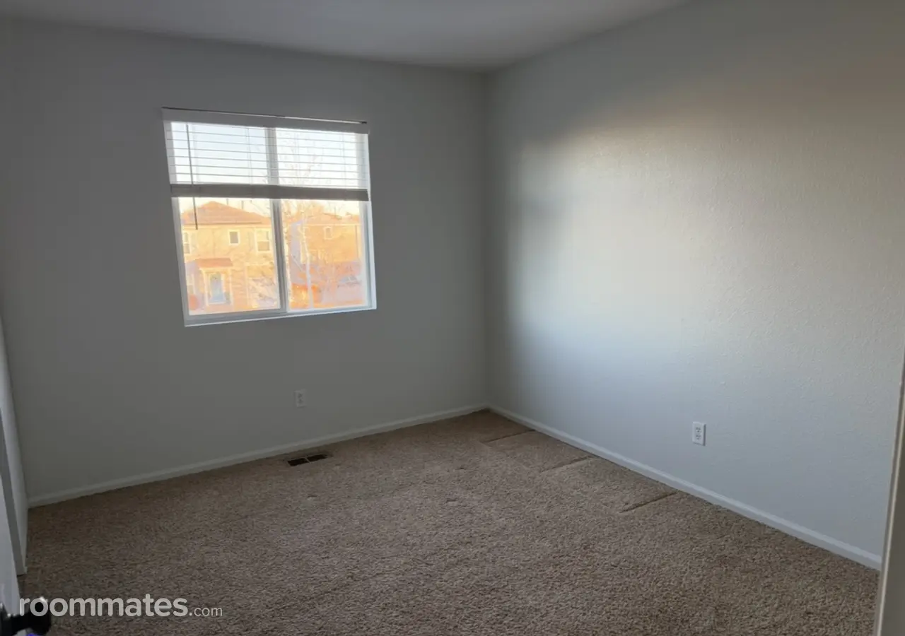 Profile photo 2 of 13