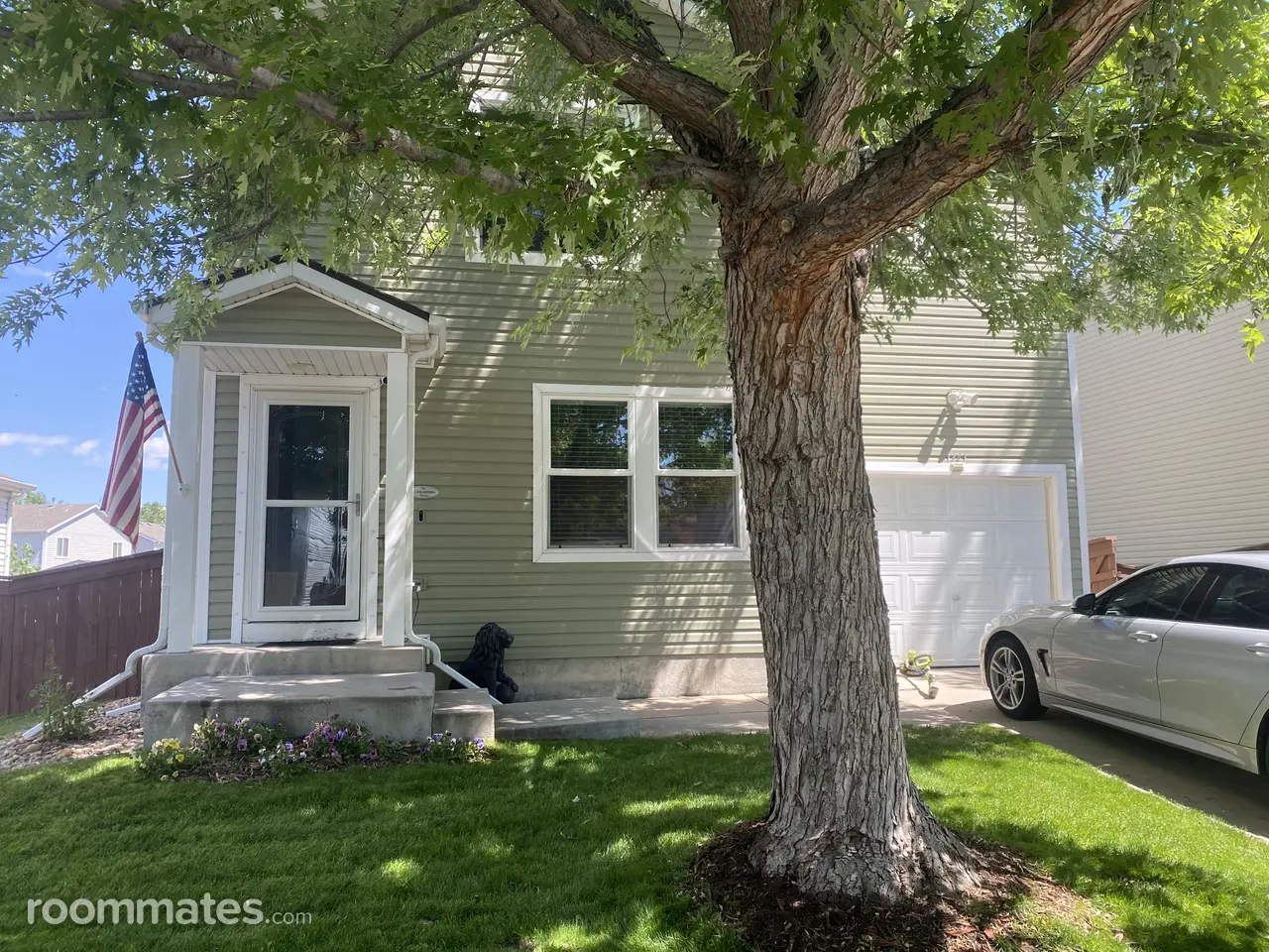 Profile photo 9 of 13