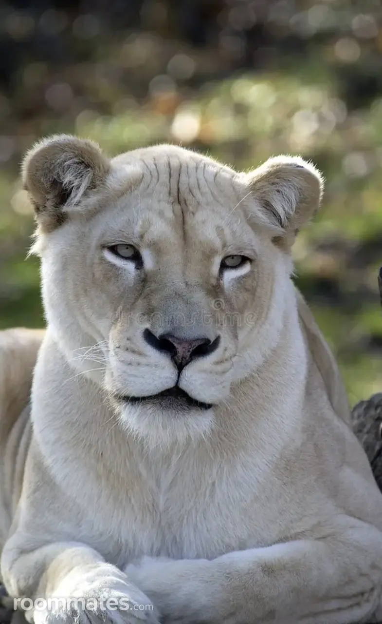 Profile photo 2 of 2