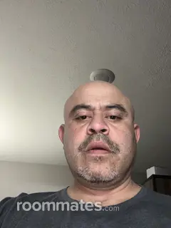 Roommate looking Louisville, KY, $700