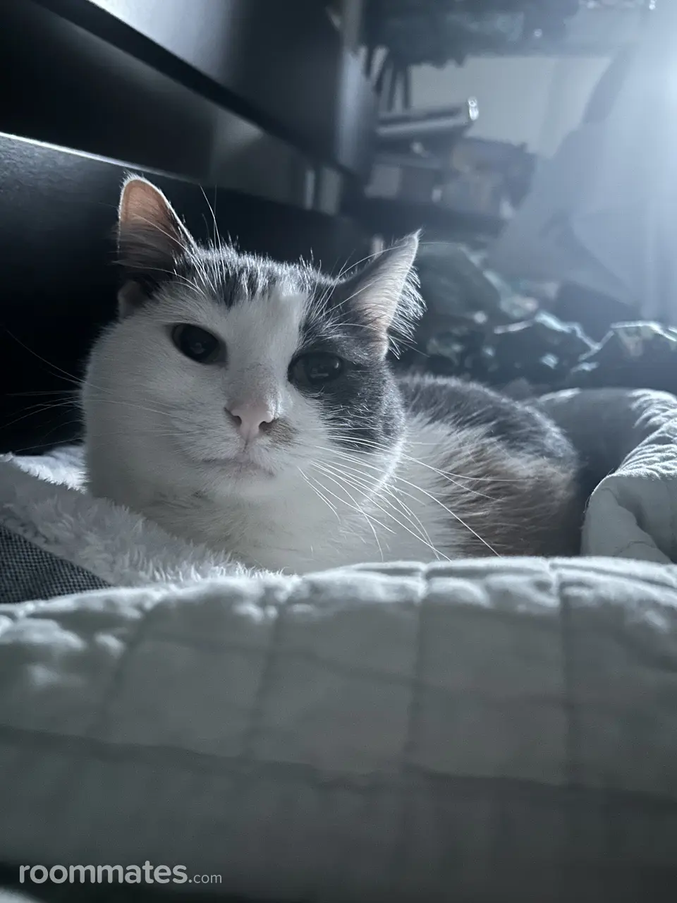 Profile photo 2 of 2