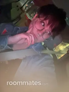 Roommate looking Minneapolis, MN, $700