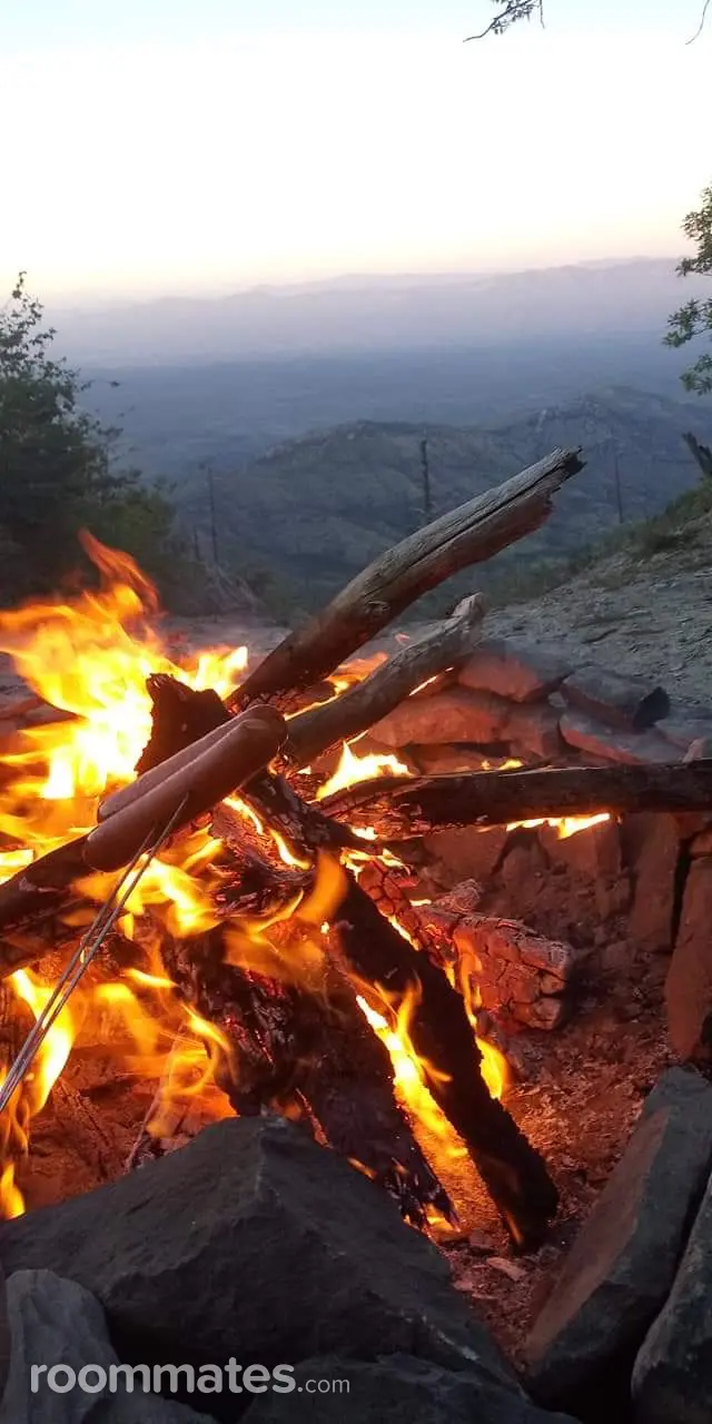 Profile photo 5 of 5