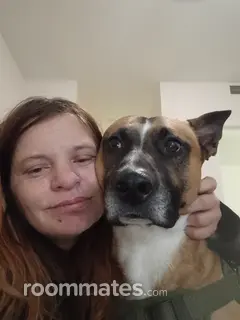 Roommate looking Sacramento, CA, $400