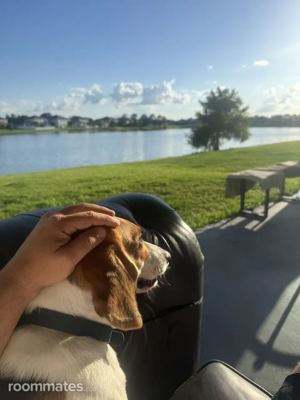 Profile photo 8 of 9