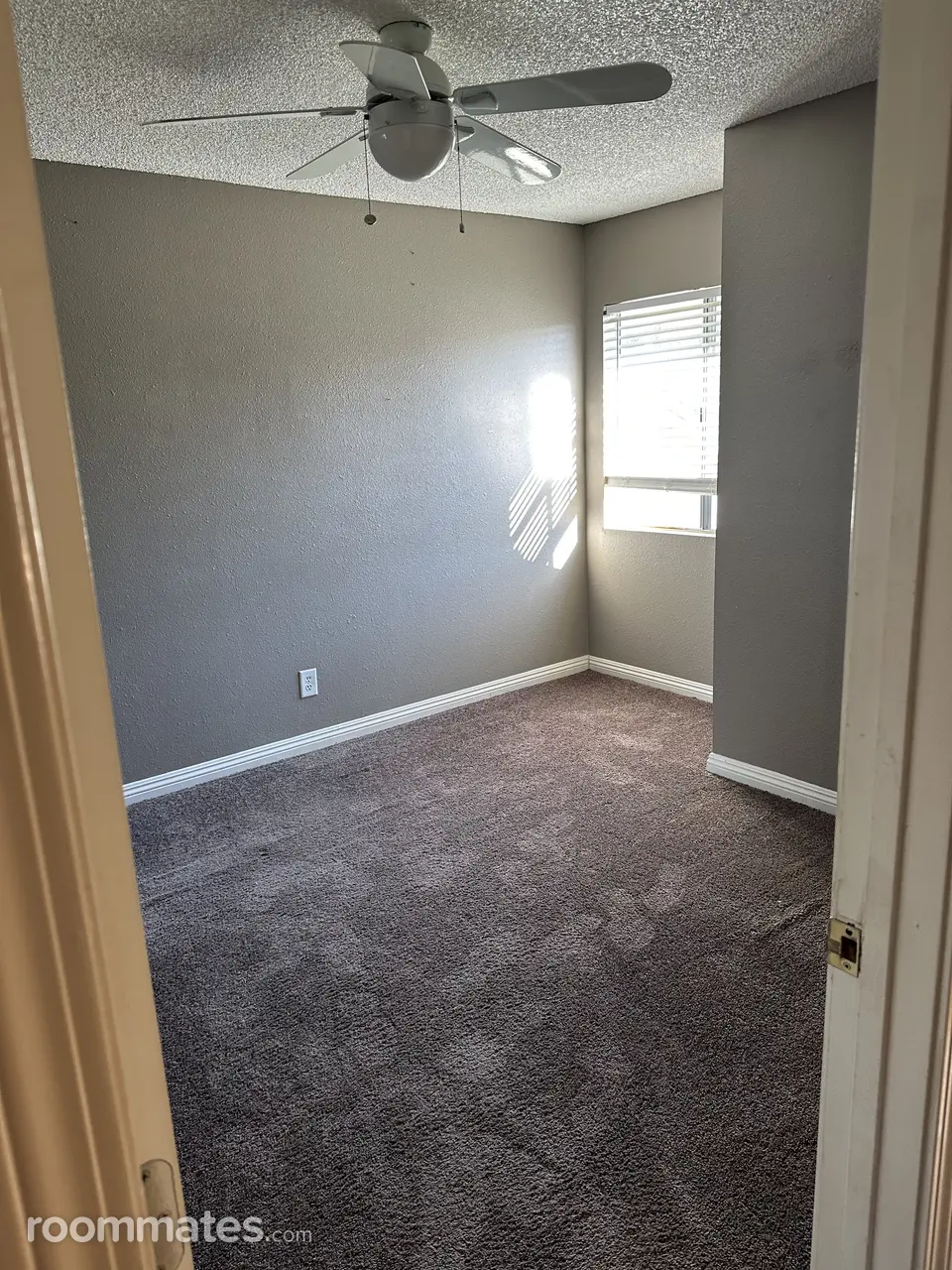 Profile photo 7 of 8