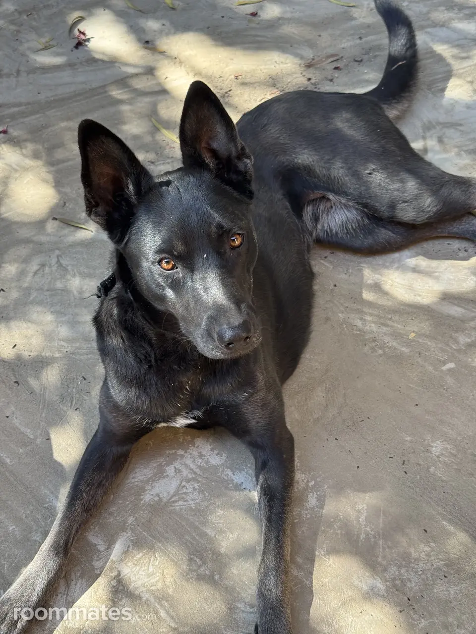 Profile photo 2 of 2