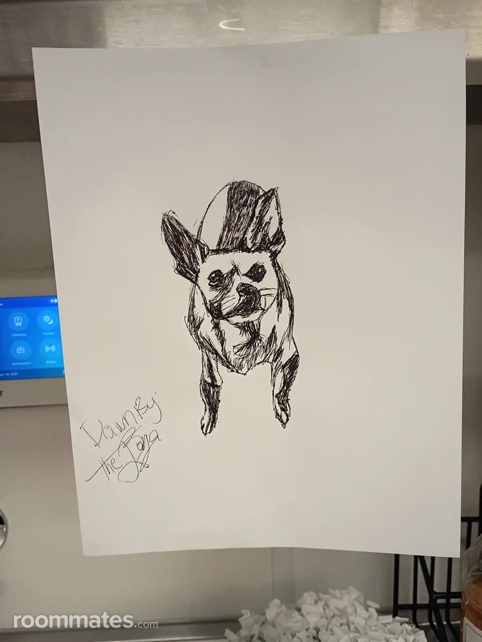 Profile photo 6 of 7