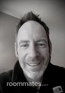 Roommate looking Madison, WI, $1100