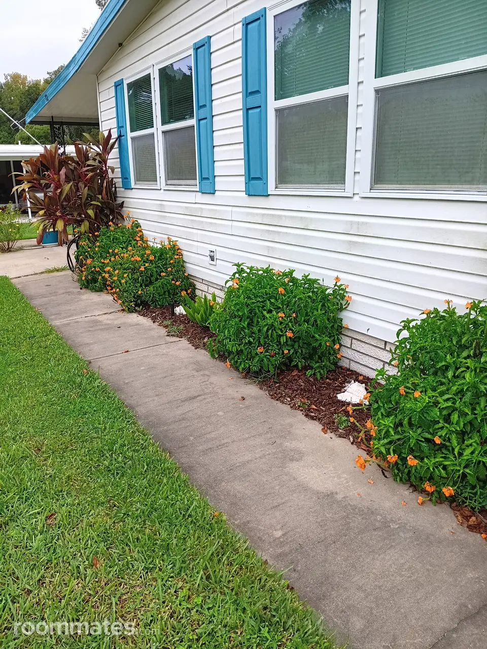 Profile photo 4 of 6