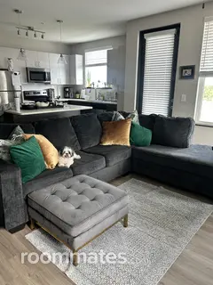 Room for rent in Tampa, FL $1300, apartment