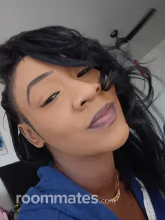 Roommate looking Glendale, AZ, $1000