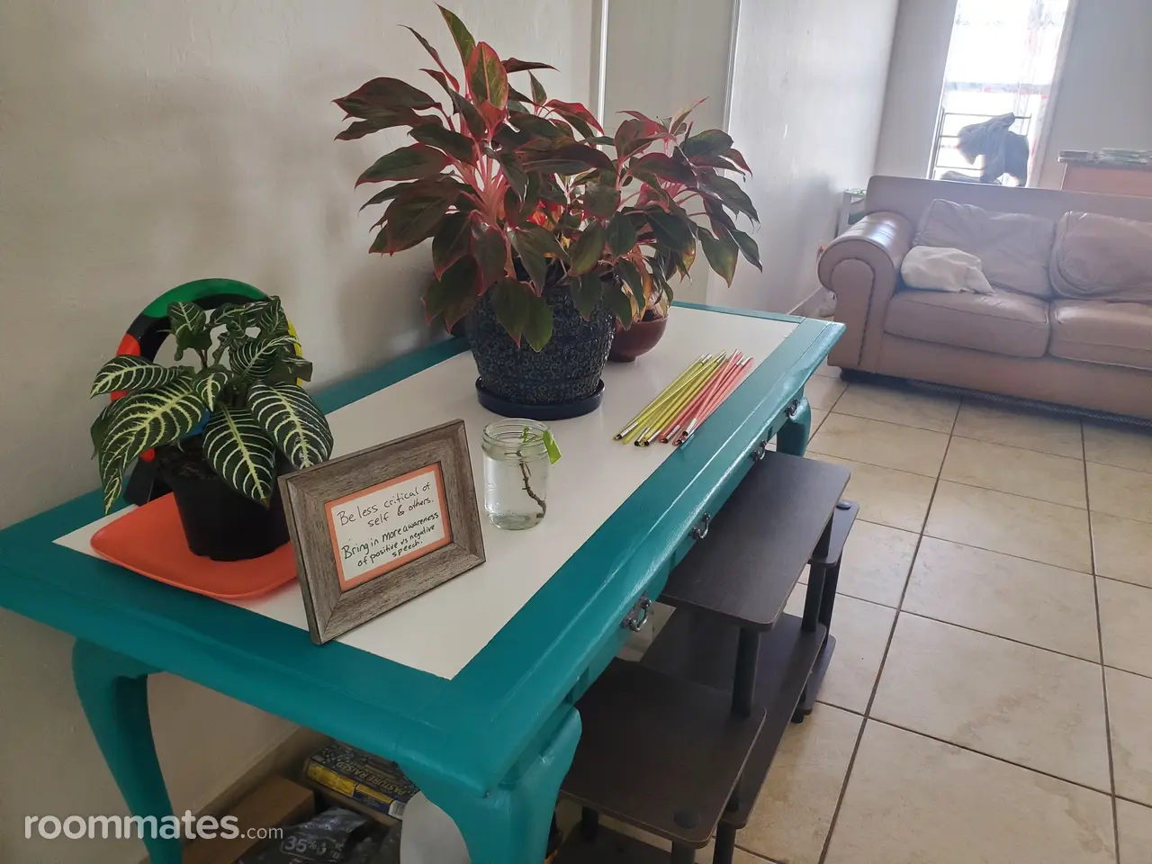 Profile photo 6 of 15