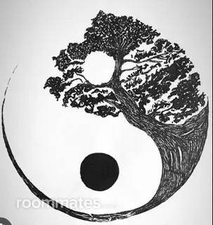 Roommate looking Boulder, CO, $2000