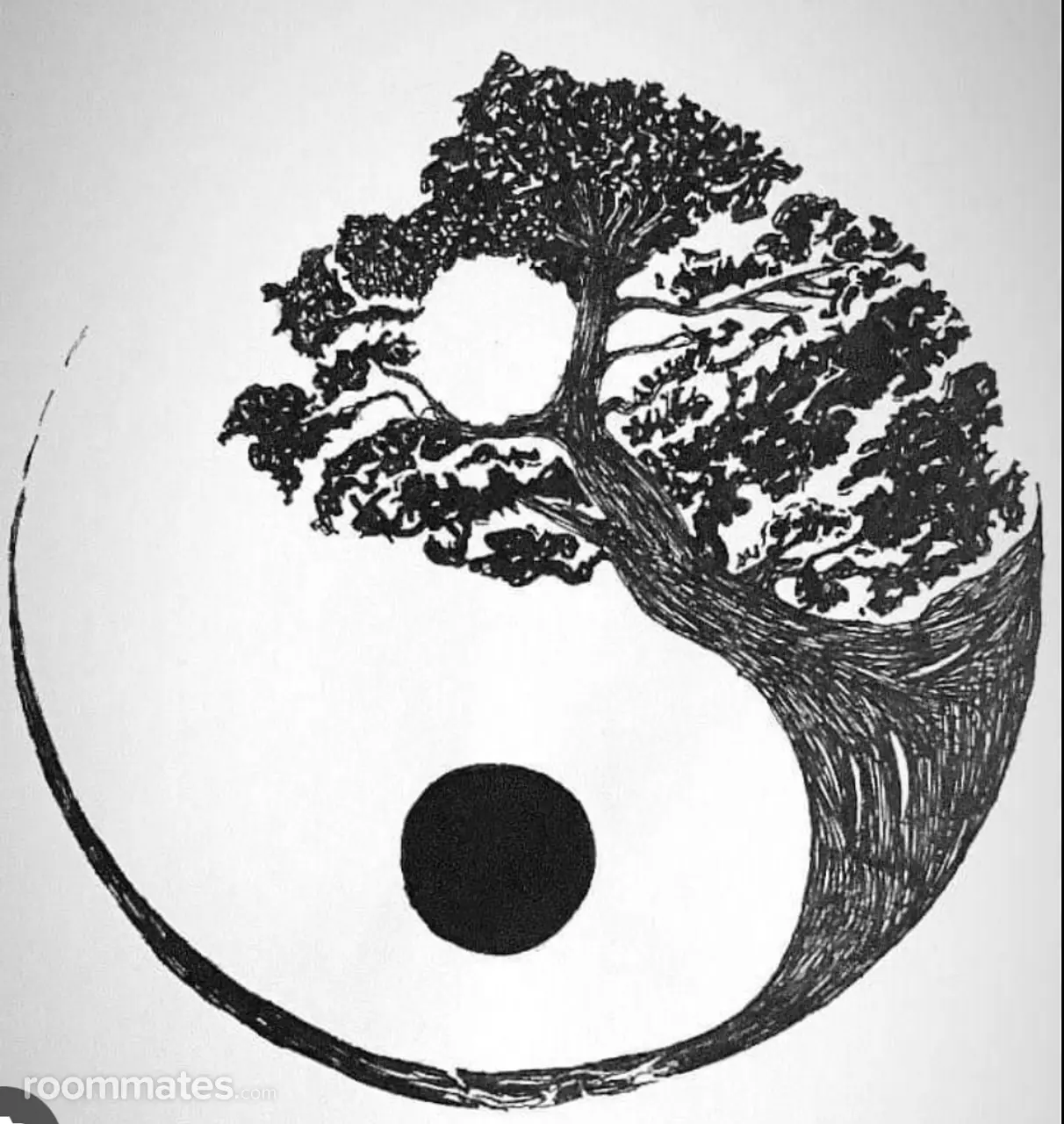 Profile photo 1 of 1