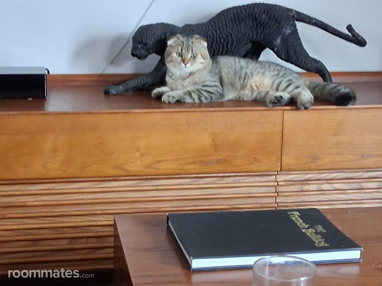 Profile photo 3 of 3