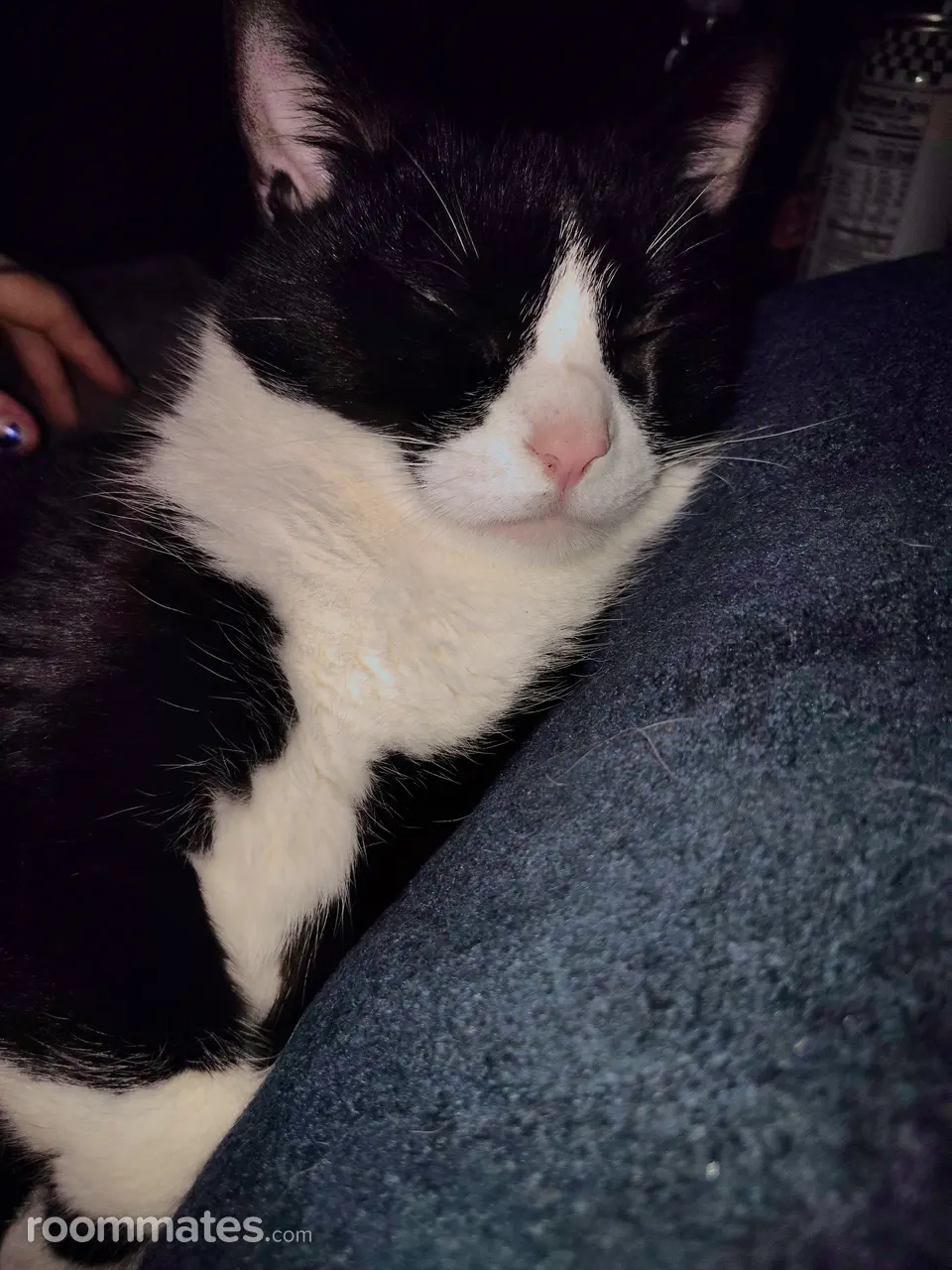 Profile photo 6 of 7