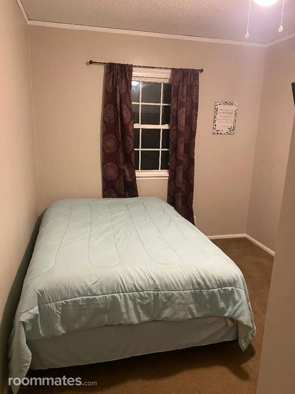 Profile photo 2 of 3