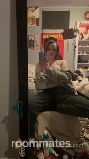 Roommate looking Ann Arbor, MI, $500