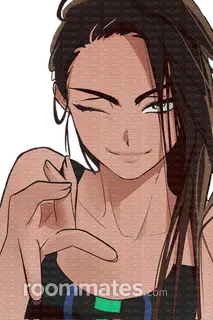 Roommate looking Rockville, MD, $1000