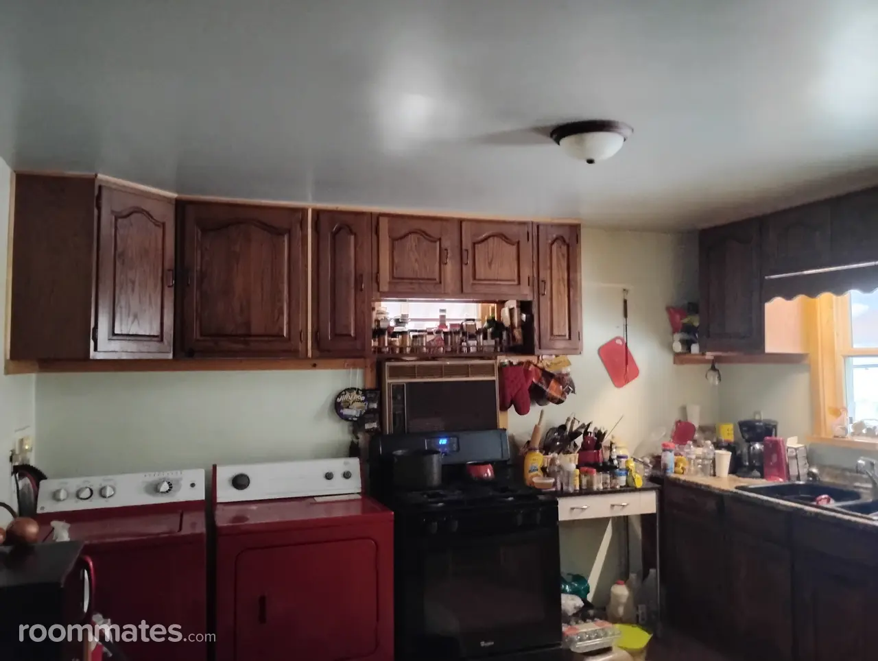 Profile photo 7 of 8