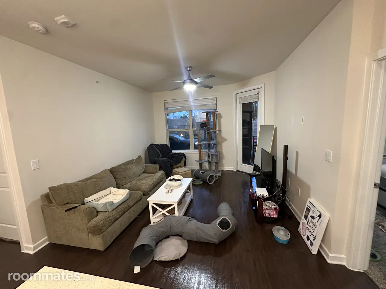 Profile photo 2 of 11