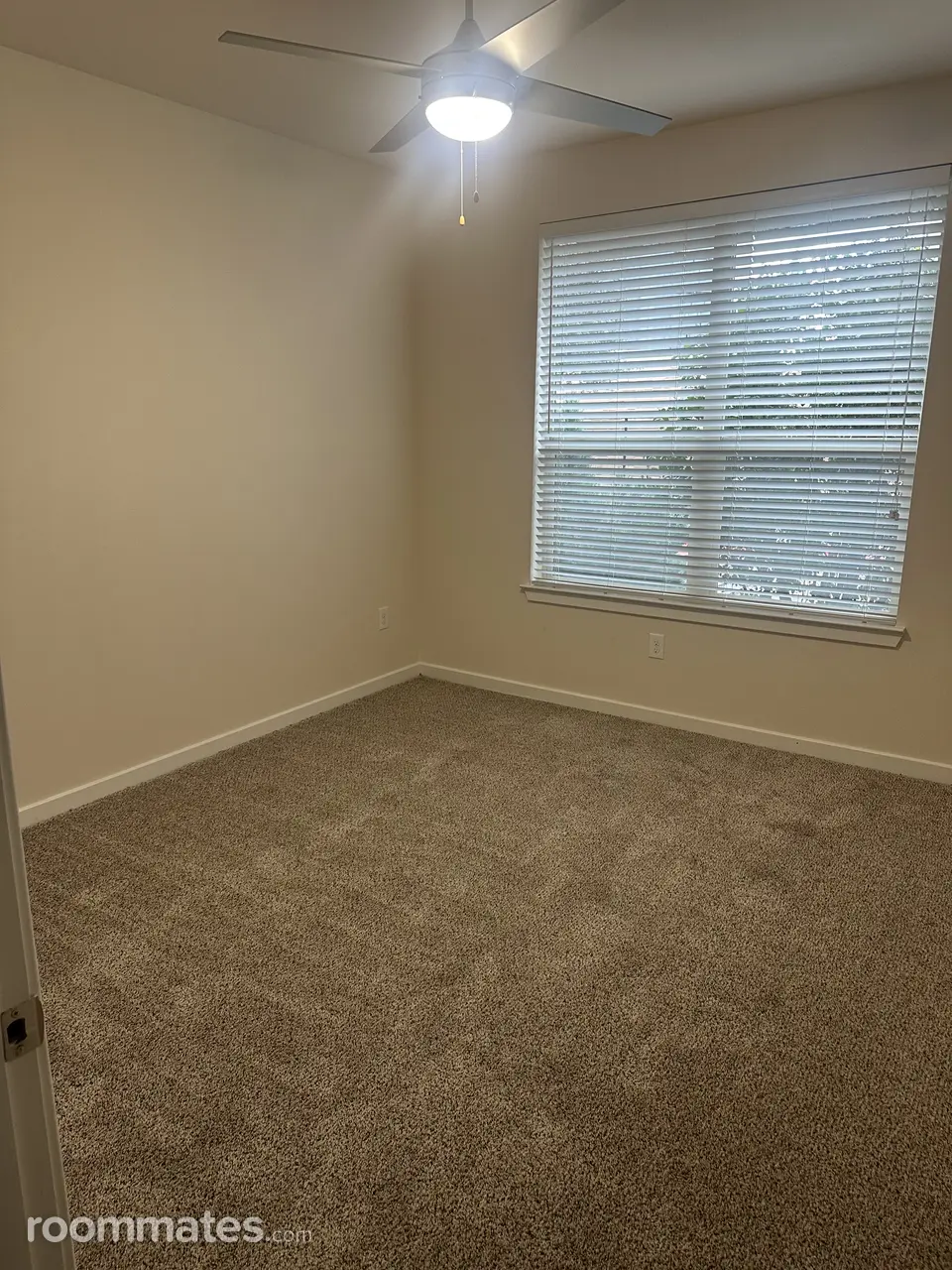 Profile photo 3 of 11