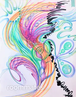 Roommate looking Spring, TX, $700