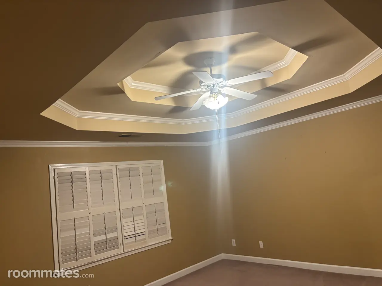 Profile photo 4 of 11