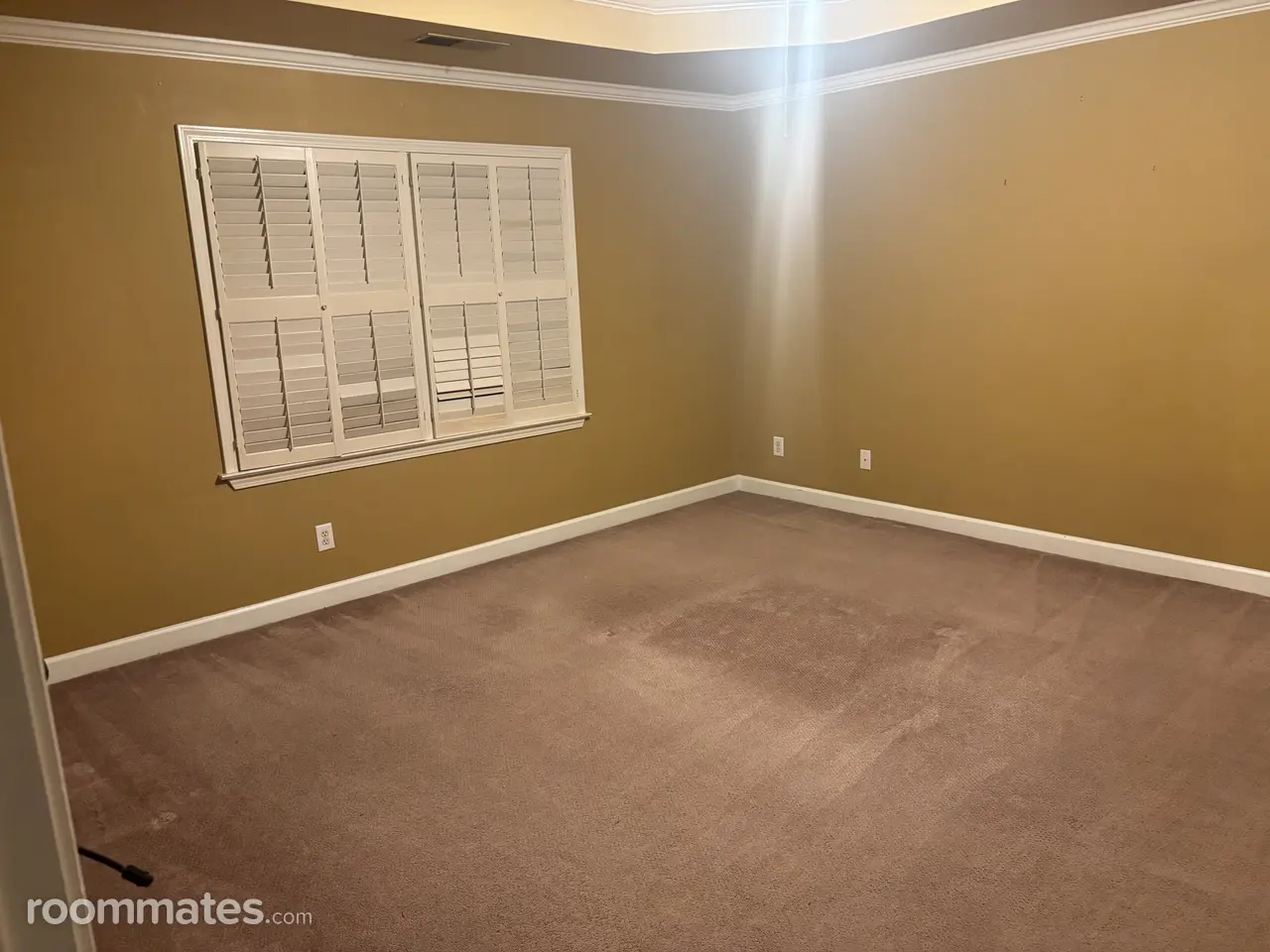 Profile photo 10 of 11