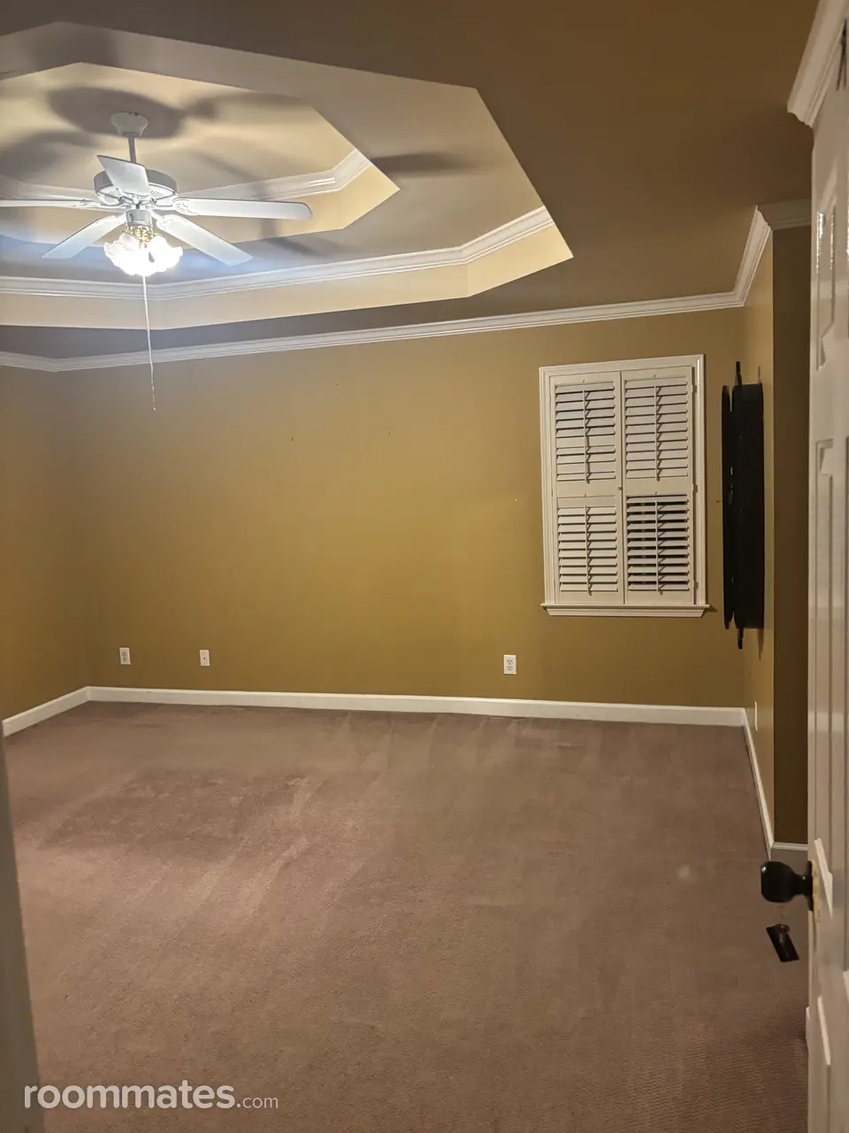 Profile photo 8 of 11