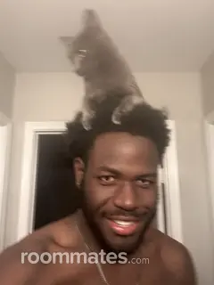 Roommate looking Houston, TX, $800