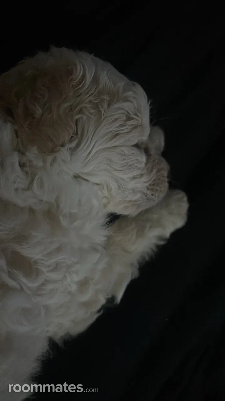 Profile photo 3 of 4